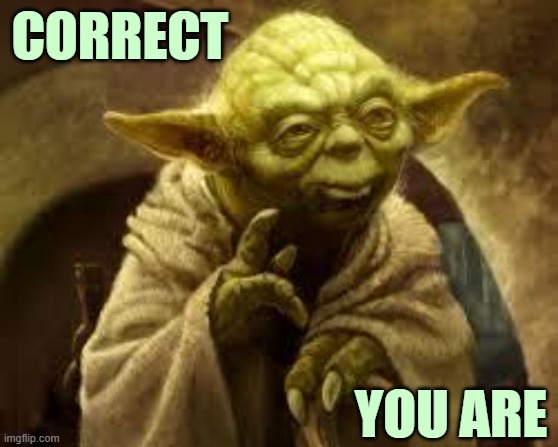 ◄► | CORRECT YOU ARE | image tagged in yoda | made w/ Imgflip meme maker