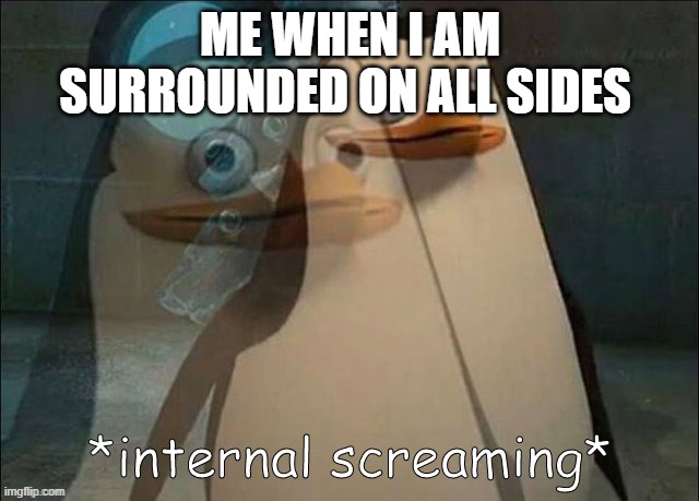 aaaaaaaaaaaa | ME WHEN I AM SURROUNDED ON ALL SIDES | image tagged in rico internal screaming | made w/ Imgflip meme maker