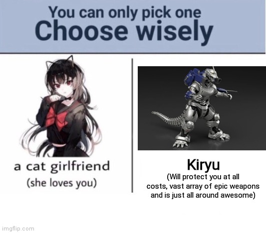 Who do you choose? | Kiryu; (Will protect you at all costs, vast array of epic weapons and is just all around awesome) | image tagged in choose wisely | made w/ Imgflip meme maker