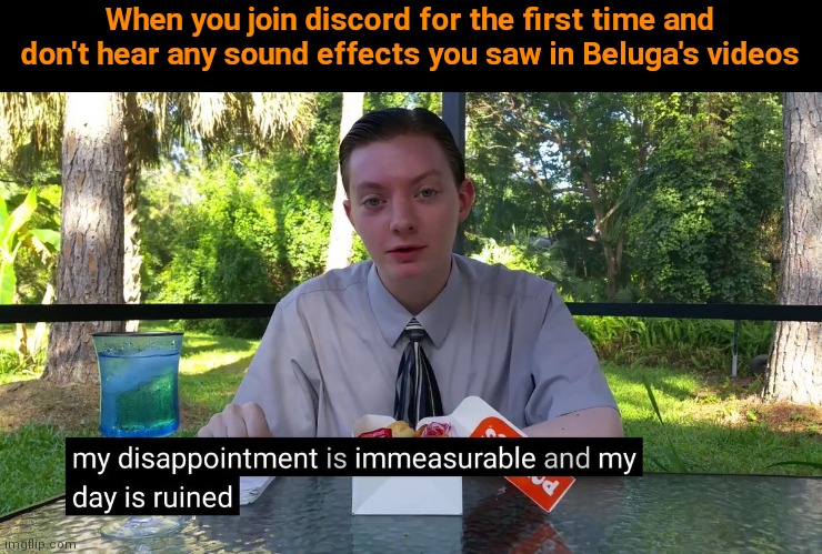 My Disappointment Is Immeasurable | When you join discord for the first time and don't hear any sound effects you saw in Beluga's videos | image tagged in my disappointment is immeasurable,discord,memes,beluga,youtube | made w/ Imgflip meme maker
