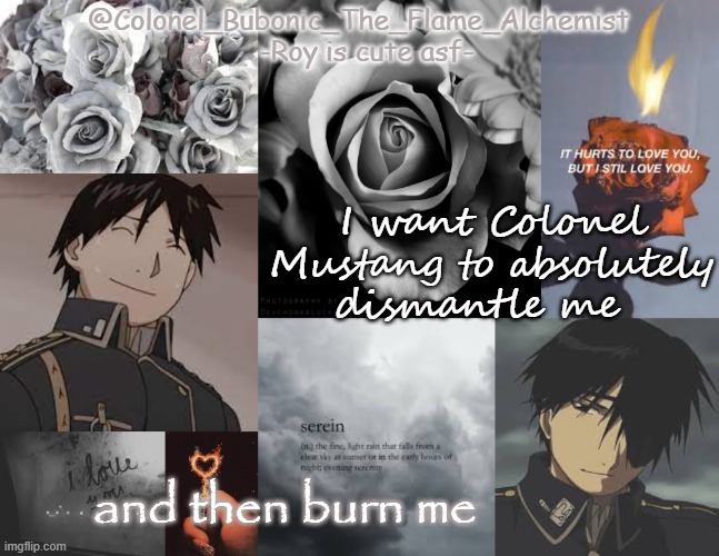 Another temp of Roy being cute asf | I want Colonel Mustang to absolutely dismantle me; and then burn me | image tagged in another temp of roy being cute asf | made w/ Imgflip meme maker