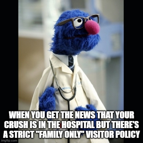 Grover. | WHEN YOU GET THE NEWS THAT YOUR CRUSH IS IN THE HOSPITAL BUT THERE'S A STRICT "FAMILY ONLY" VISITOR POLICY | image tagged in grover | made w/ Imgflip meme maker