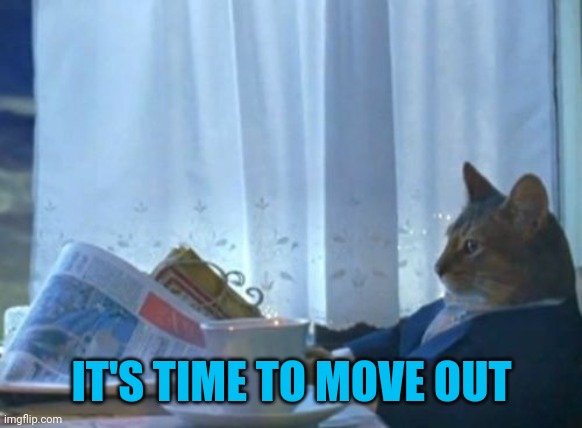 I Should Buy A Boat Cat Meme | IT'S TIME TO MOVE OUT | image tagged in memes,i should buy a boat cat | made w/ Imgflip meme maker