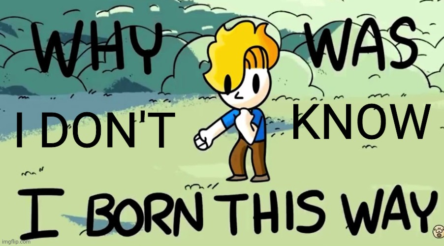 I'm dumb | I DON'T; KNOW | image tagged in why was i born this way | made w/ Imgflip meme maker