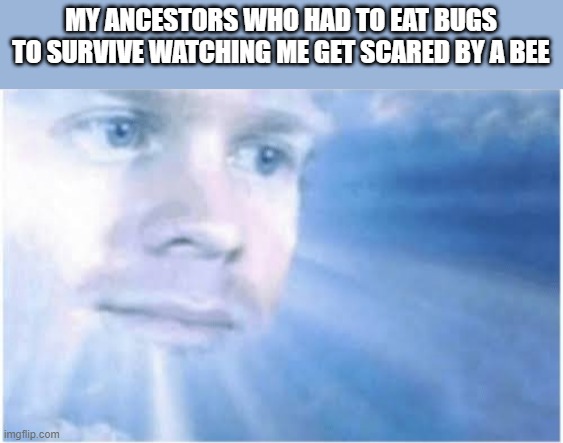 In heaven looking down | MY ANCESTORS WHO HAD TO EAT BUGS TO SURVIVE WATCHING ME GET SCARED BY A BEE | image tagged in in heaven looking down | made w/ Imgflip meme maker