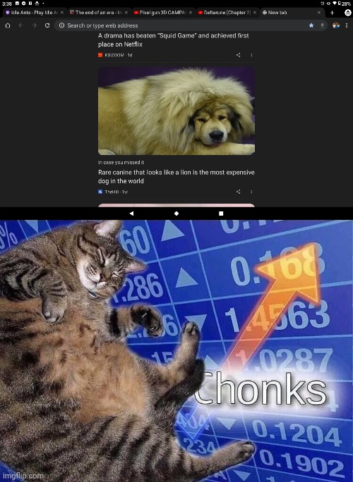 At last, the expensive chonk boi | image tagged in chonks | made w/ Imgflip meme maker