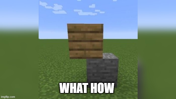 wait what??? | WHAT HOW | image tagged in cursed image | made w/ Imgflip meme maker