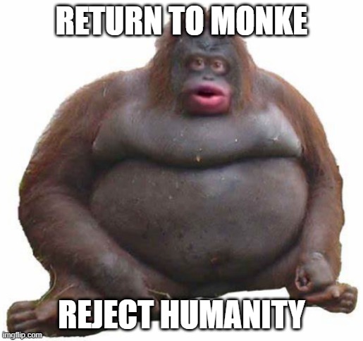 Return to monke | RETURN TO MONKE; REJECT HUMANITY | image tagged in monke | made w/ Imgflip meme maker