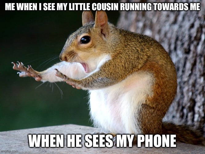 stop squirrel | ME WHEN I SEE MY LITTLE COUSIN RUNNING TOWARDS ME; WHEN HE SEES MY PHONE | image tagged in stop squirrel | made w/ Imgflip meme maker