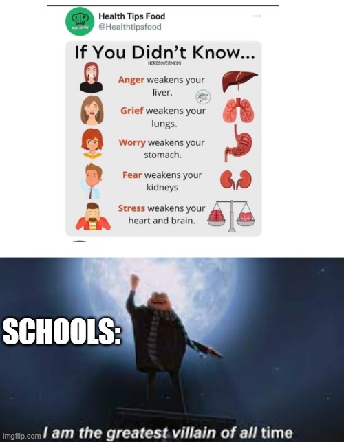 lol | SCHOOLS: | image tagged in blank white template,insert funni tag,guess i'll die | made w/ Imgflip meme maker