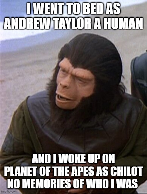 Andrew Taylor now Chilot | I WENT TO BED AS ANDREW TAYLOR A HUMAN; AND I WOKE UP ON PLANET OF THE APES AS CHILOT NO MEMORIES OF WHO I WAS | image tagged in man,ape,chimpanzee | made w/ Imgflip meme maker