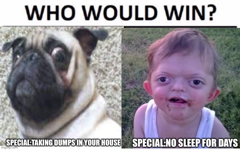 SPECIAL:TAKING DUMPS IN YOUR HOUSE; SPECIAL:NO SLEEP FOR DAYS | image tagged in bad pun dog | made w/ Imgflip meme maker