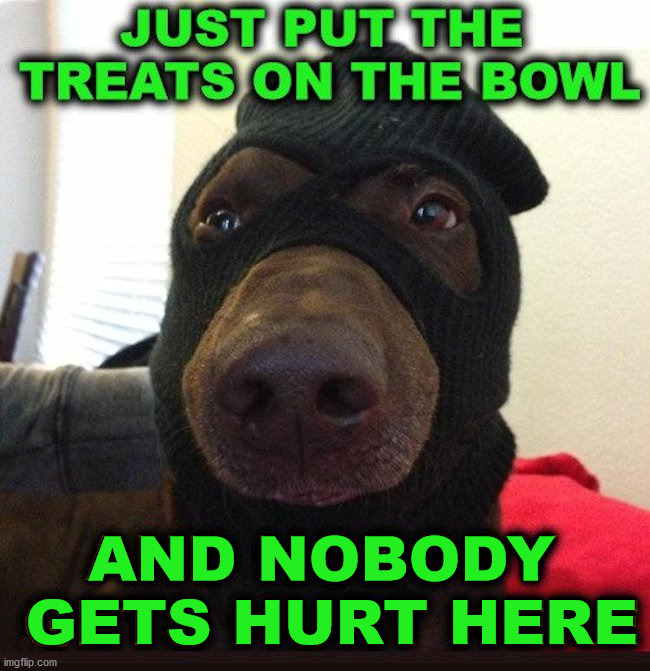 AND NOBODY
 GETS HURT HERE | image tagged in dogs | made w/ Imgflip meme maker