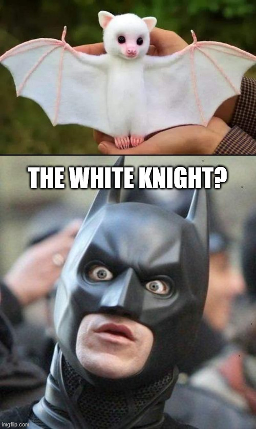 THE WHITE KNIGHT? | image tagged in shocked batman | made w/ Imgflip meme maker