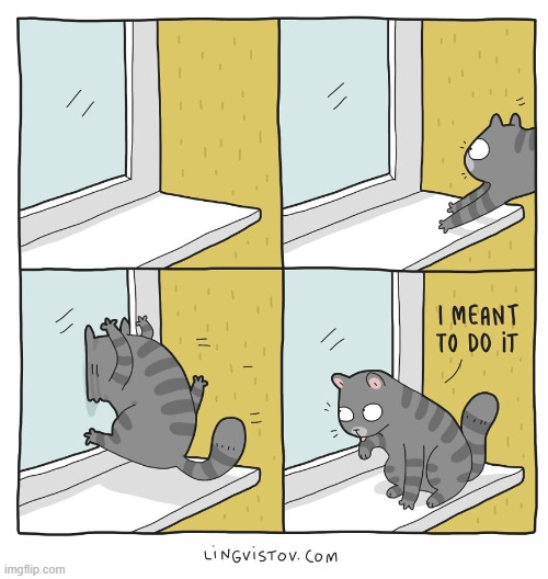A Cat's Way Of Thinking | image tagged in memes,comics,cats,door,smash,coincidence i think not | made w/ Imgflip meme maker