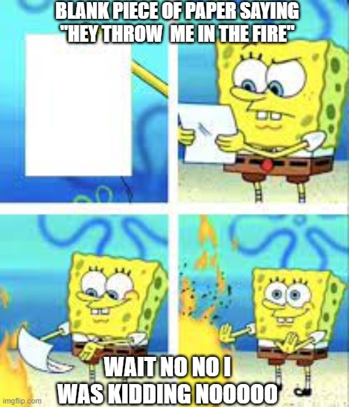 Paper Being Thrown in Fire! |  BLANK PIECE OF PAPER SAYING "HEY THROW  ME IN THE FIRE"; WAIT NO NO I WAS KIDDING NOOOOO | image tagged in kill it with fire | made w/ Imgflip meme maker
