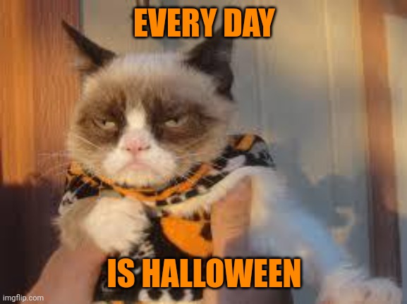 Today is | EVERY DAY IS HALLOWEEN | image tagged in memes,grumpy cat halloween,grumpy cat,halloween,happy halloween | made w/ Imgflip meme maker