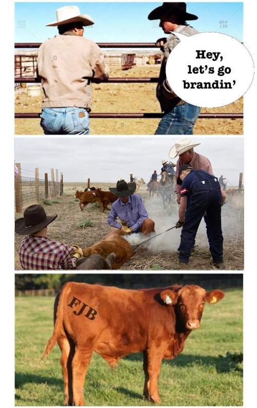 Let's go brandin'! | image tagged in lets go brandin,lets go brandon,fuck joe biden | made w/ Imgflip meme maker