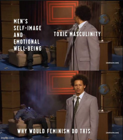 image tagged in feminism,toxic masculinity,why would they do this | made w/ Imgflip meme maker