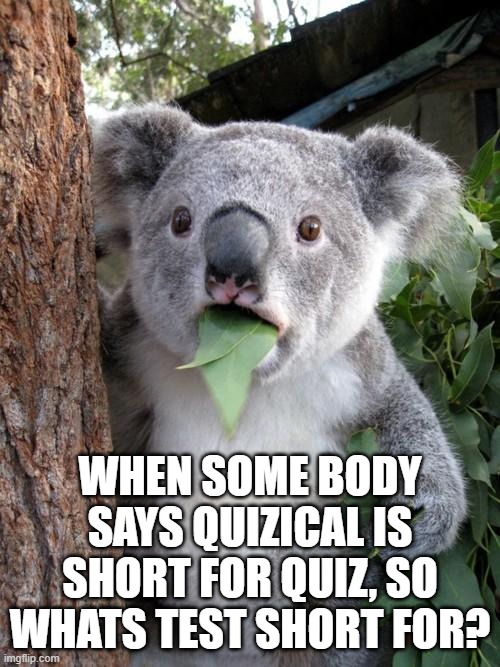 Surprised Koala | WHEN SOME BODY SAYS QUIZICAL IS SHORT FOR QUIZ, SO WHATS TEST SHORT FOR? | image tagged in memes,surprised koala | made w/ Imgflip meme maker