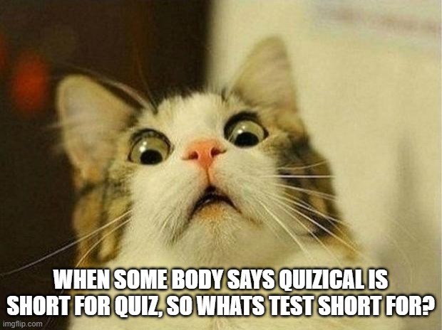 Scared Cat | WHEN SOME BODY SAYS QUIZICAL IS SHORT FOR QUIZ, SO WHATS TEST SHORT FOR? | image tagged in memes,scared cat | made w/ Imgflip meme maker