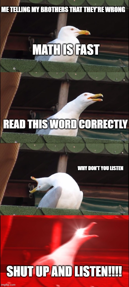 Inhaling Seagull | ME TELLING MY BROTHERS THAT THEY'RE WRONG; MATH IS FAST; READ THIS WORD CORRECTLY; WHY DON'T YOU LISTEN; SHUT UP AND LISTEN!!!! | image tagged in memes,inhaling seagull | made w/ Imgflip meme maker