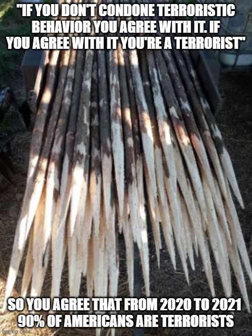 "IF YOU DON'T CONDONE TERRORISTIC BEHAVIOR YOU AGREE WITH IT. IF YOU AGREE WITH IT YOU'RE A TERRORIST" SO YOU AGREE THAT FROM 2020 TO 2021 
 | made w/ Imgflip meme maker