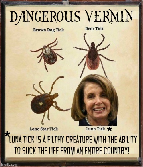 VERMIN; DANGEROUS; *; *; Luna Tick is a filthy creature with the ability
to suck the life from an entire country! | image tagged in vince vance,ticks,memes,nancy pelosi,dirty,politicians suck | made w/ Imgflip meme maker