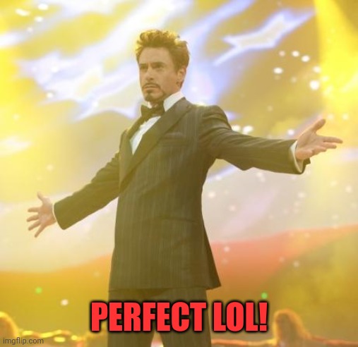 Robert Downey Jr Iron Man | PERFECT LOL! | image tagged in robert downey jr iron man | made w/ Imgflip meme maker