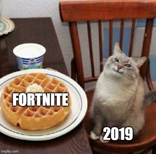 Fontnite in 2019 | FORTNITE; 2019 | image tagged in cat likes their waffle | made w/ Imgflip meme maker