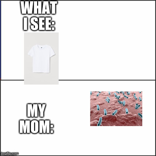 oof | WHAT I SEE:; MY MOM: | image tagged in double white template | made w/ Imgflip meme maker