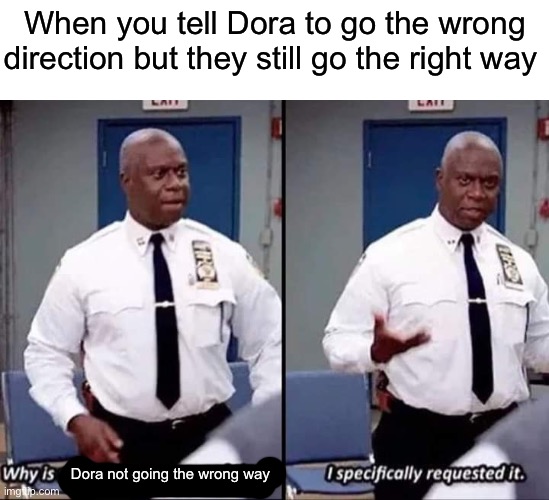 Why | When you tell Dora to go the wrong direction but they still go the right way; Dora not going the wrong way | image tagged in why is no one having a good time i specifically requested it | made w/ Imgflip meme maker