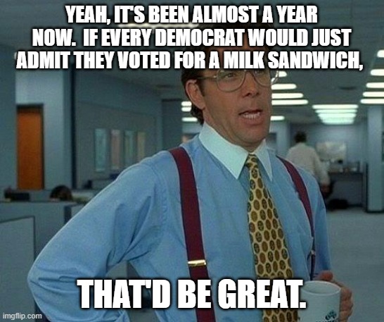 That Would Be Great | YEAH, IT'S BEEN ALMOST A YEAR NOW.  IF EVERY DEMOCRAT WOULD JUST ADMIT THEY VOTED FOR A MILK SANDWICH, THAT'D BE GREAT. | image tagged in memes,that would be great | made w/ Imgflip meme maker