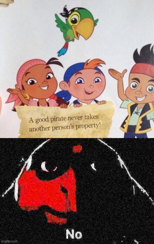 seriously what the hell do you think pirates were for | image tagged in good pirate meme | made w/ Imgflip meme maker