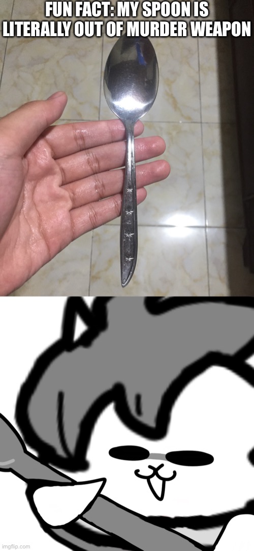 Better beware for the guy who call himself “Psychocat” with his favorite weapon “Spoon” | FUN FACT: MY SPOON IS LITERALLY OUT OF MURDER WEAPON | made w/ Imgflip meme maker