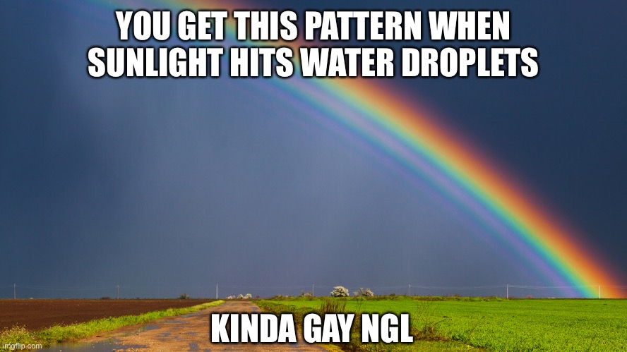YOU GET THIS PATTERN WHEN SUNLIGHT HITS WATER DROPLETS; KINDA GAY NGL | made w/ Imgflip meme maker