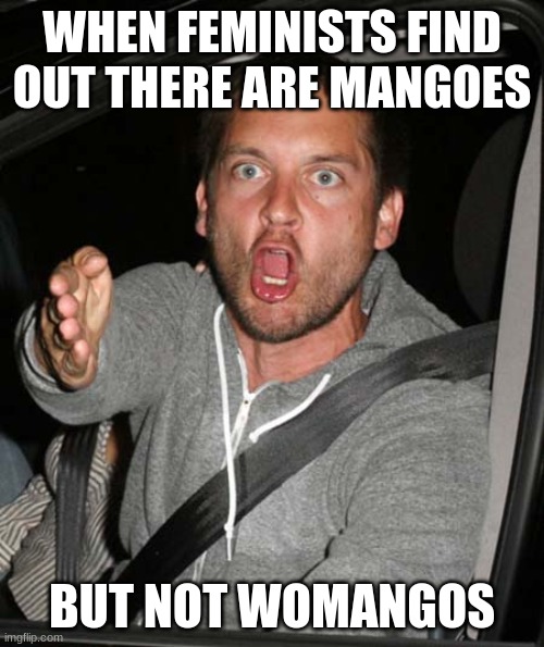 enter good name here | WHEN FEMINISTS FIND OUT THERE ARE MANGOES; BUT NOT WOMANGOS | image tagged in tobey maguire very upset | made w/ Imgflip meme maker
