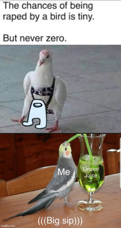 Send to Hornystream send to Hornystream SEND TO HORNYSTREAM!!!!!!!!! | image tagged in unsee juice | made w/ Imgflip meme maker