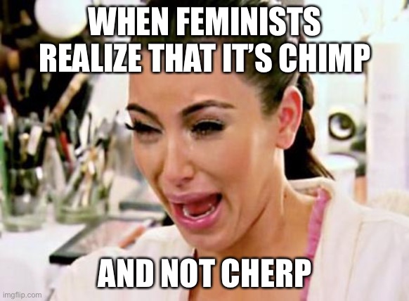 Kim Kardashian | WHEN FEMINISTS REALIZE THAT IT’S CHIMP; AND NOT CHERP | image tagged in kim kardashian | made w/ Imgflip meme maker