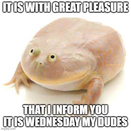 It is wednesday my dudes | IT IS WITH GREAT PLEASURE; THAT I INFORM YOU IT IS WEDNESDAY MY DUDES | image tagged in it is wednesday my dudes | made w/ Imgflip meme maker