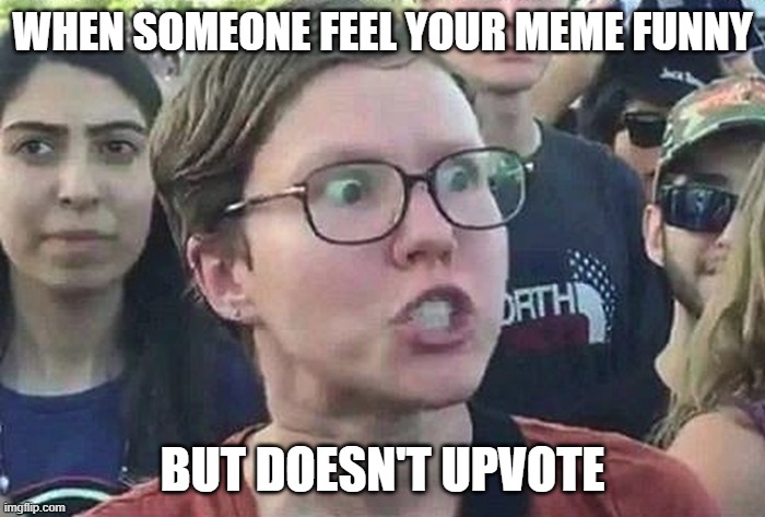 Triggered Liberal | WHEN SOMEONE FEEL YOUR MEME FUNNY; BUT DOESN'T UPVOTE | image tagged in triggered liberal,upvote,funny,fun | made w/ Imgflip meme maker