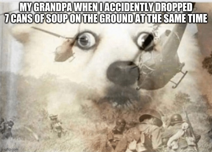 THERE COMING FROM THE TREES | MY GRANDPA WHEN I ACCIDENTLY DROPPED 7 CANS OF SOUP ON THE GROUND AT THE SAME TIME | image tagged in ptsd dog | made w/ Imgflip meme maker