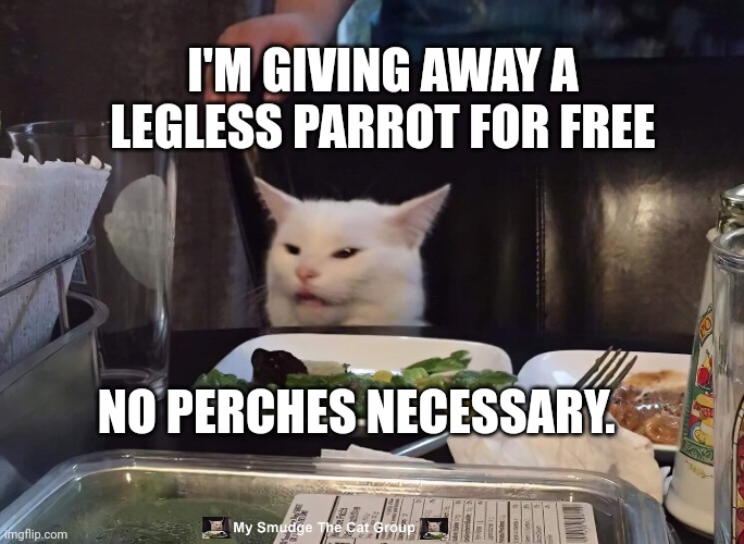 I'M GIVING AWAY A LEGLESS PARROT FOR FREE; NO PERCHES NECESSARY. | image tagged in smudge the cat | made w/ Imgflip meme maker