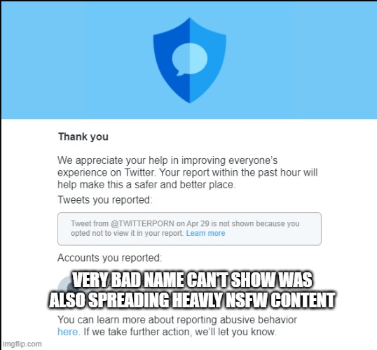 Twitter Report Successfull get nay nayed NSFW Bots | VERY BAD NAME CAN'T SHOW WAS ALSO SPREADING HEAVLY NSFW CONTENT | image tagged in twitter,report,twitterreportsuccess | made w/ Imgflip meme maker