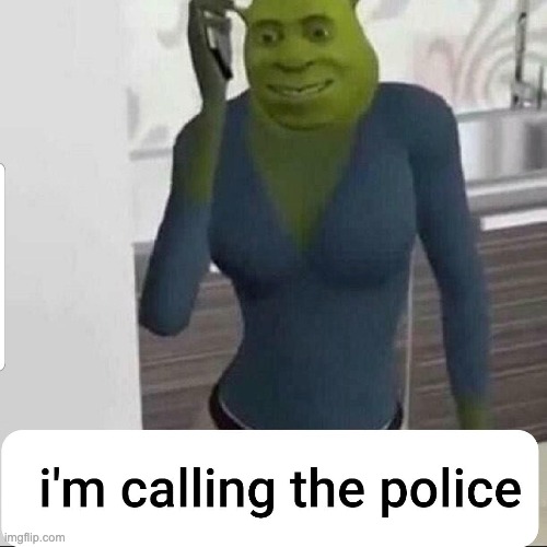 Shrek but female | image tagged in memes,unfunny | made w/ Imgflip meme maker
