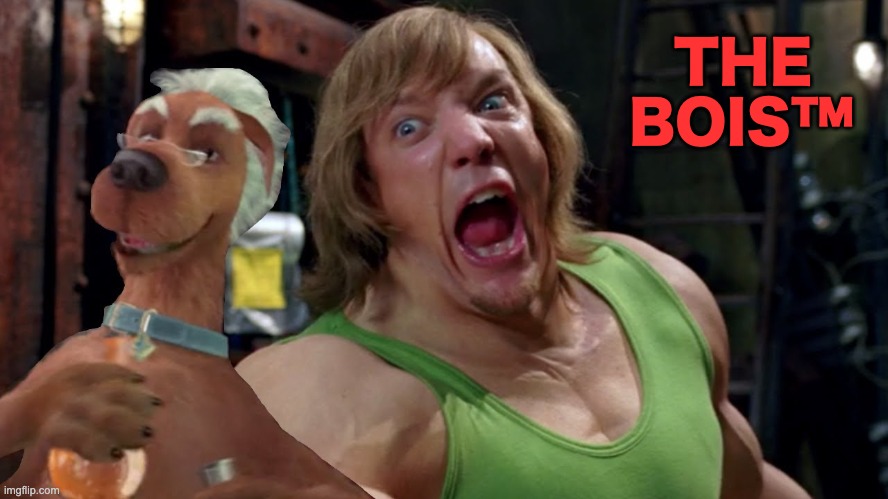 The boiss | THE BOIS™ | image tagged in memes,unfunny | made w/ Imgflip meme maker