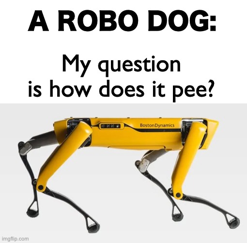 Leave your answers below, how does this robo dog pee? | A ROBO DOG:; My question is how does it pee? | image tagged in blank white template,memes,unfunny | made w/ Imgflip meme maker