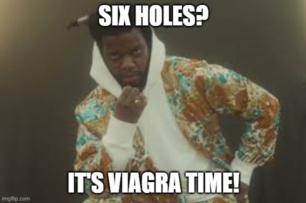 Fly | SIX HOLES? IT'S VIAGRA TIME! | image tagged in fly | made w/ Imgflip meme maker