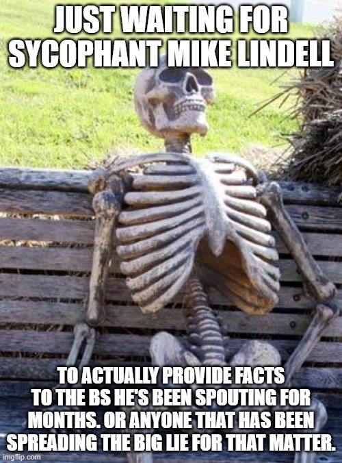 Waiting Skeleton | JUST WAITING FOR SYCOPHANT MIKE LINDELL; TO ACTUALLY PROVIDE FACTS TO THE BS HE'S BEEN SPOUTING FOR MONTHS. OR ANYONE THAT HAS BEEN SPREADING THE BIG LIE FOR THAT MATTER. | image tagged in memes,waiting skeleton | made w/ Imgflip meme maker
