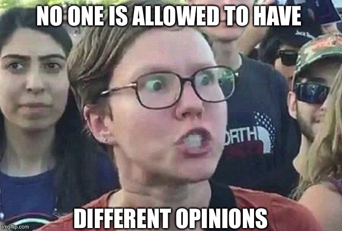 Triggered Liberal | NO ONE IS ALLOWED TO HAVE DIFFERENT OPINIONS | image tagged in triggered liberal | made w/ Imgflip meme maker